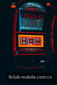 体育互动分类预览